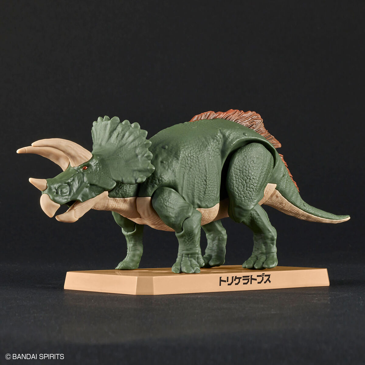 PLANNOSAURUS Triceratops｜BANDAI HOBBY SITE
