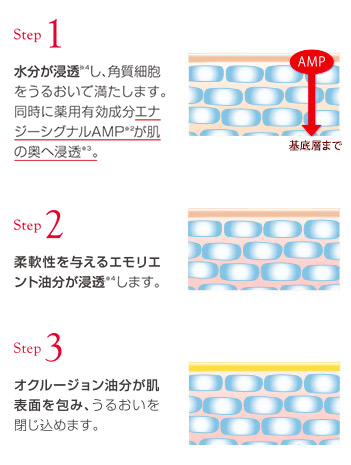 リジュブネイト ワン｜インナーシグナル | 大塚製薬のシミ対策