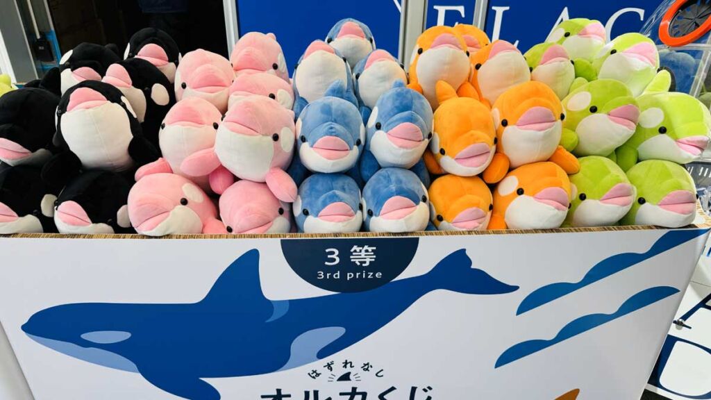 須磨シーワールドオススメグッズ【カチューシャ、オルカ帽子、イルカ
