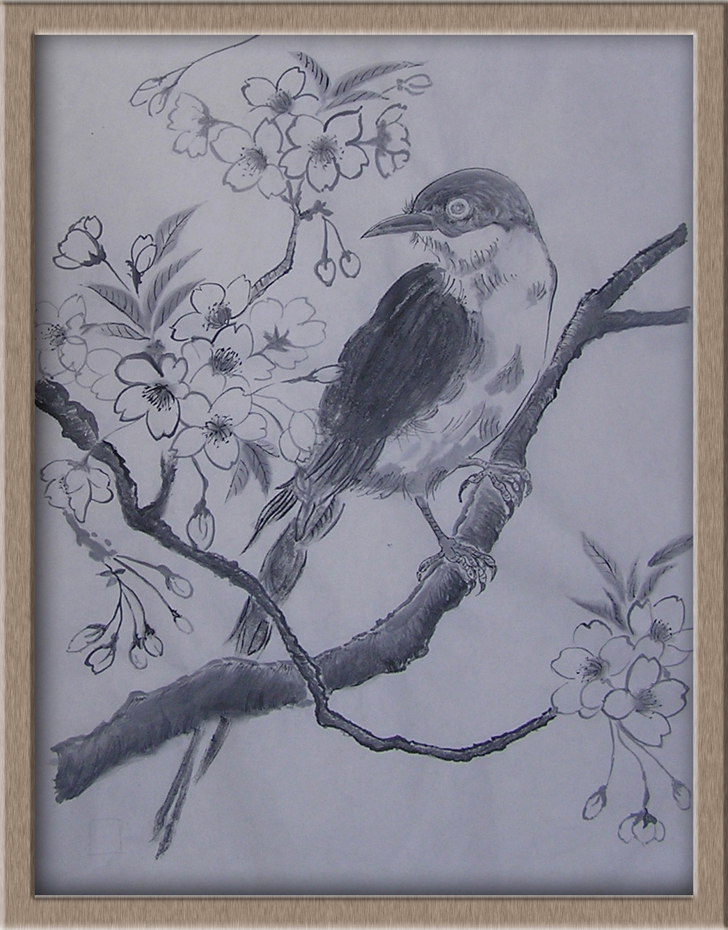 水墨画シリーズ 尾長鳥 : 四季の花図鑑
