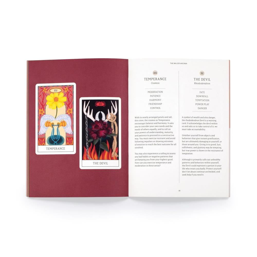 Botanicals Tarot Deck by Diana Mcmahon Collis – Midoco Art