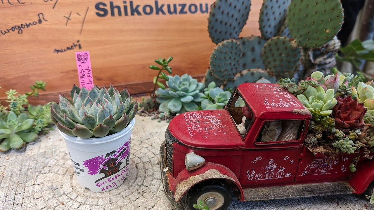 久しぶりのルイパパさん苗販売会in四国造園 | ブログ版