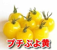 レオン❣️同梱割➖200(プロフ必読)様 リクエスト 2点 まとめ商品