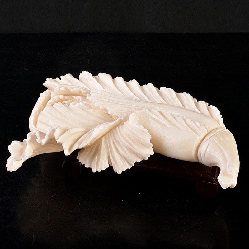 中国　玉石白玉彫刻　白菜　置物　飾台付　C　6846 中国 玉石白玉彫刻 白菜 置物 飾台付 C 6846 - メルカリ