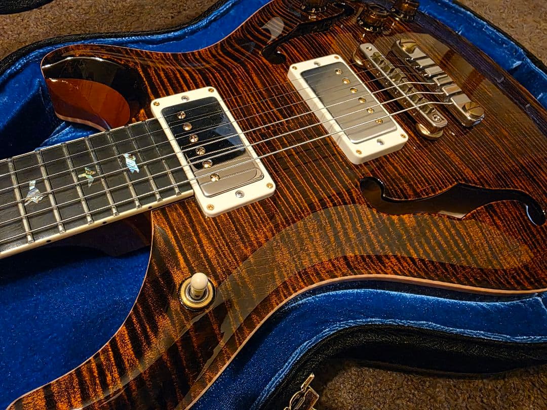 ギター PRS McCarty594HollowbodyIIArtistPackage Platinum PRS Wood Library McCarty 594 Hollowbody II Platinum
